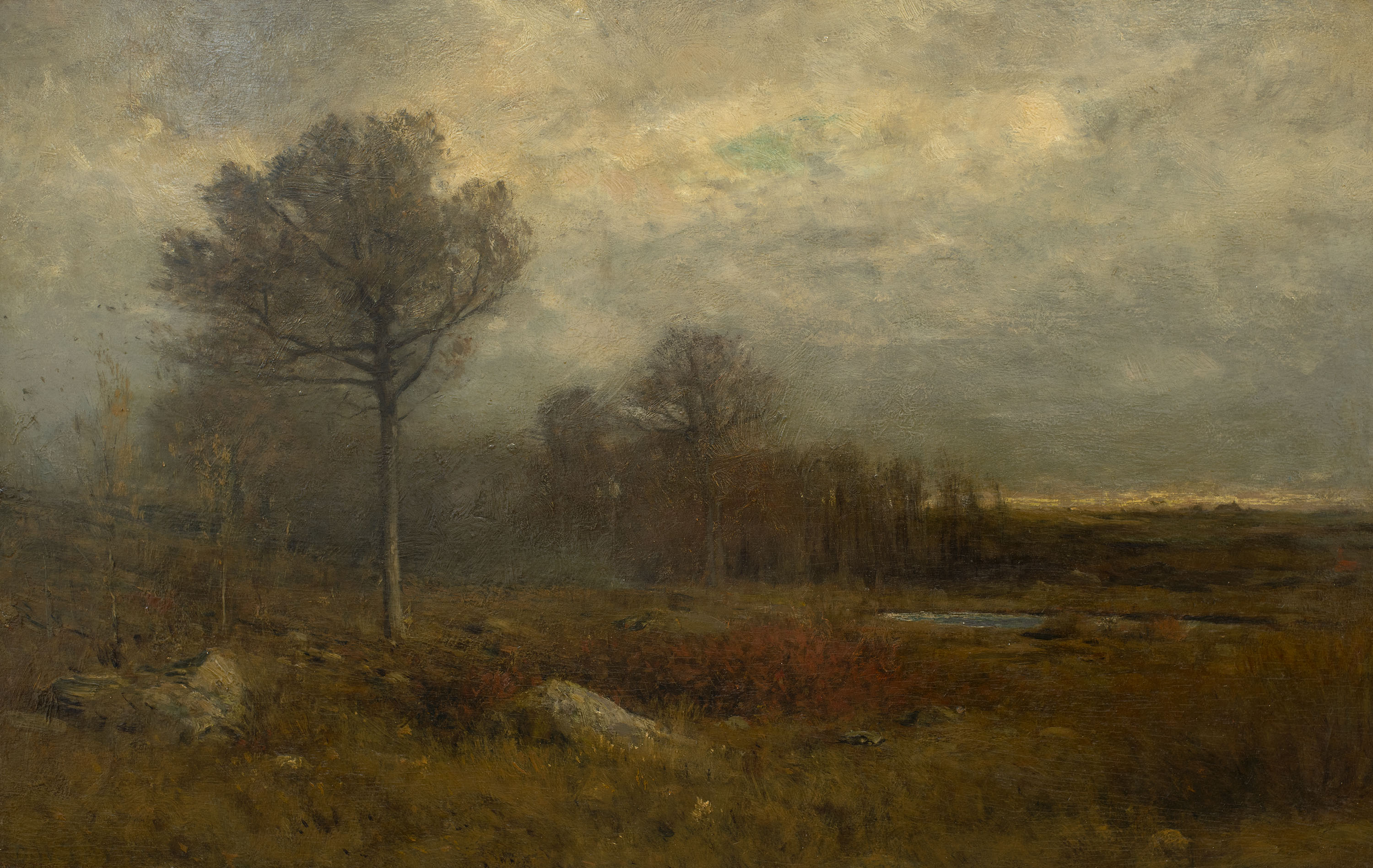 Dwight Tryon, November