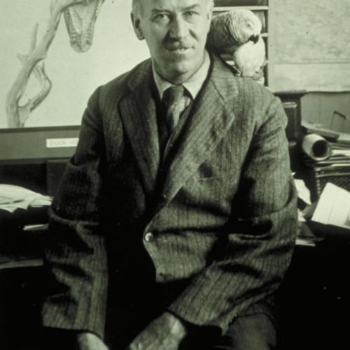 fuertes-fromcornell_0.jpg