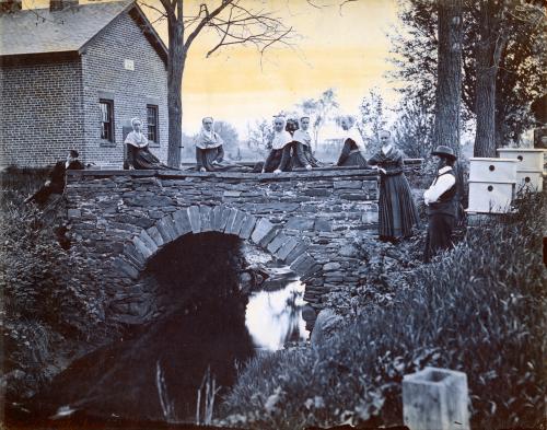 shaker-stonebridge1.jpg