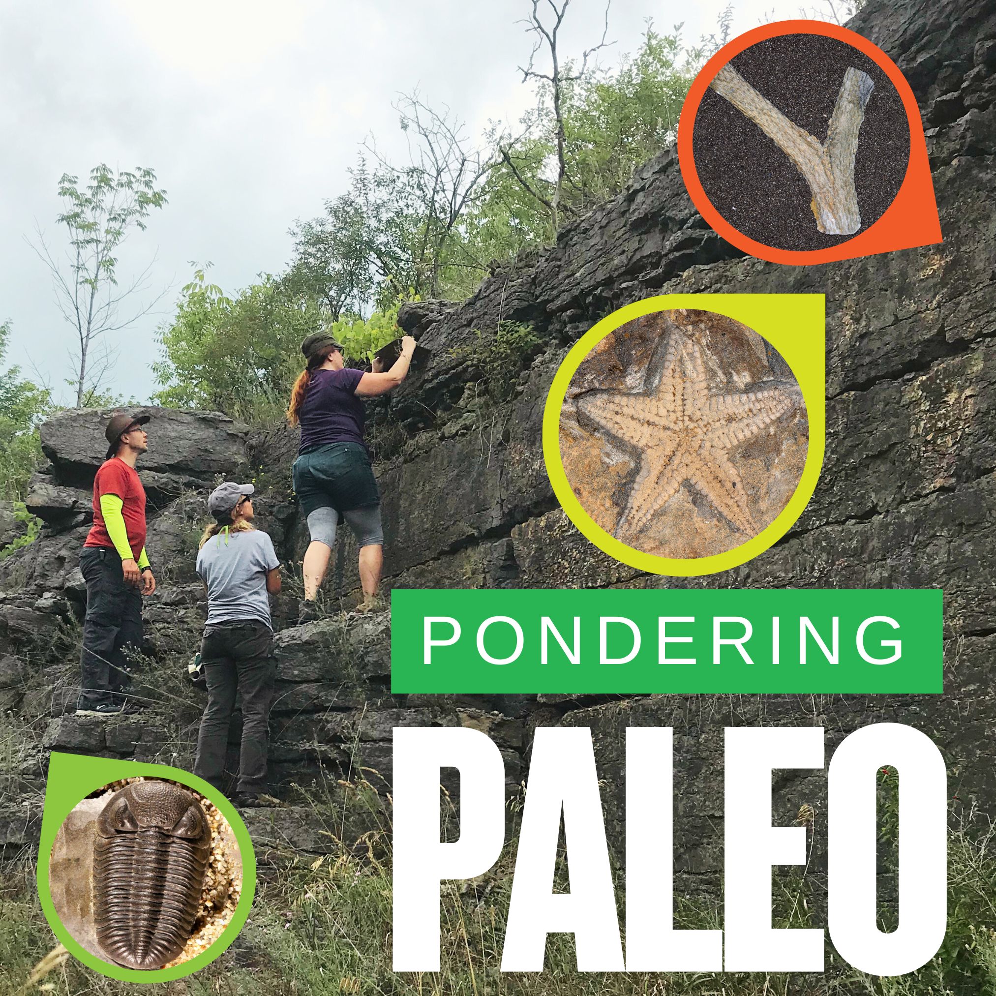 Title graphic "Pondering Paleo" with three scientists investigating a cliff site, and three images of specimens including a trilobite, starfish, and plant fossil