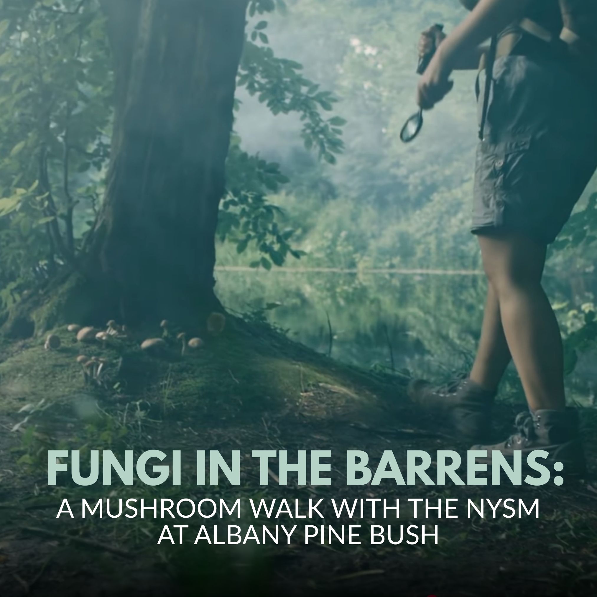title text over photo of a person with a magnifying glass walking towards mushrooms growing at the base of a tree in a wooded area