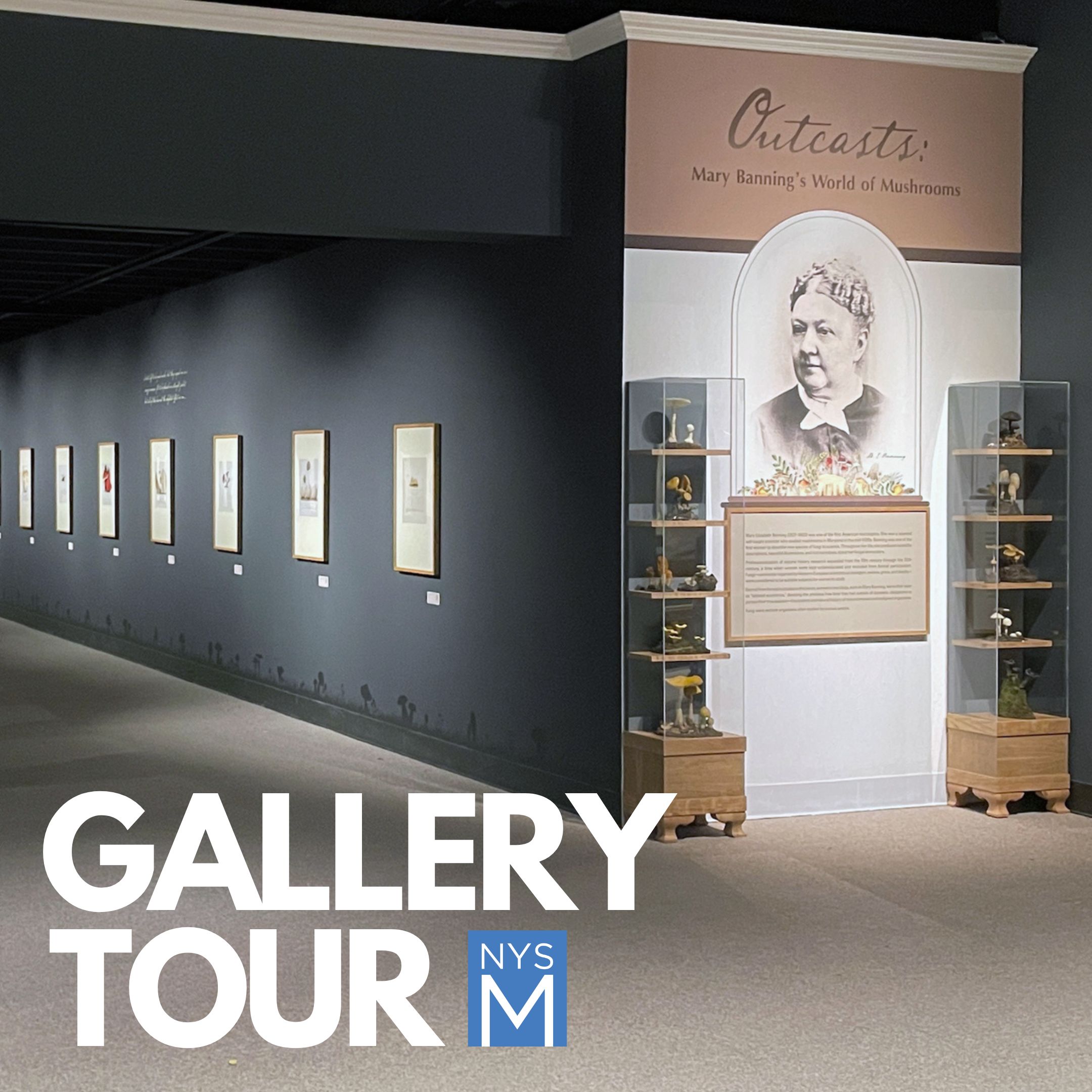 Gallery View of Outcasts Exhibition 