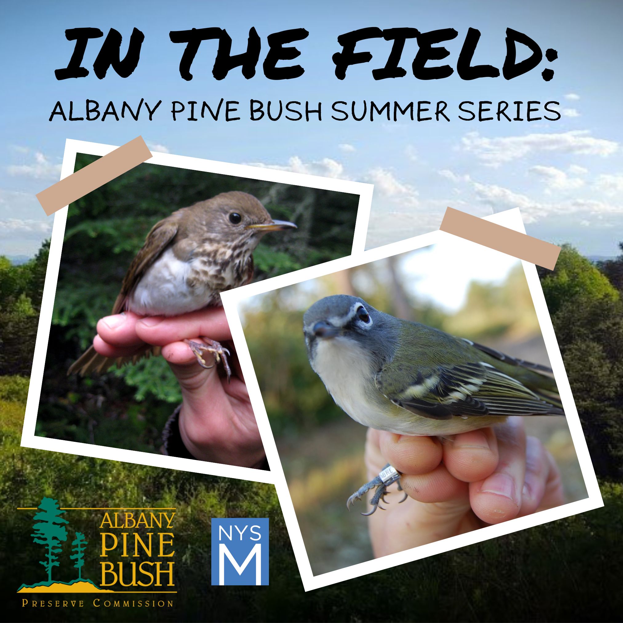 In the Field title text over a background landscape of trees under a soft blue sky. Two polaroid photos are "taped" to the scene, one a brown bird, the other showing a blue/gray/white bird with a band on its leg