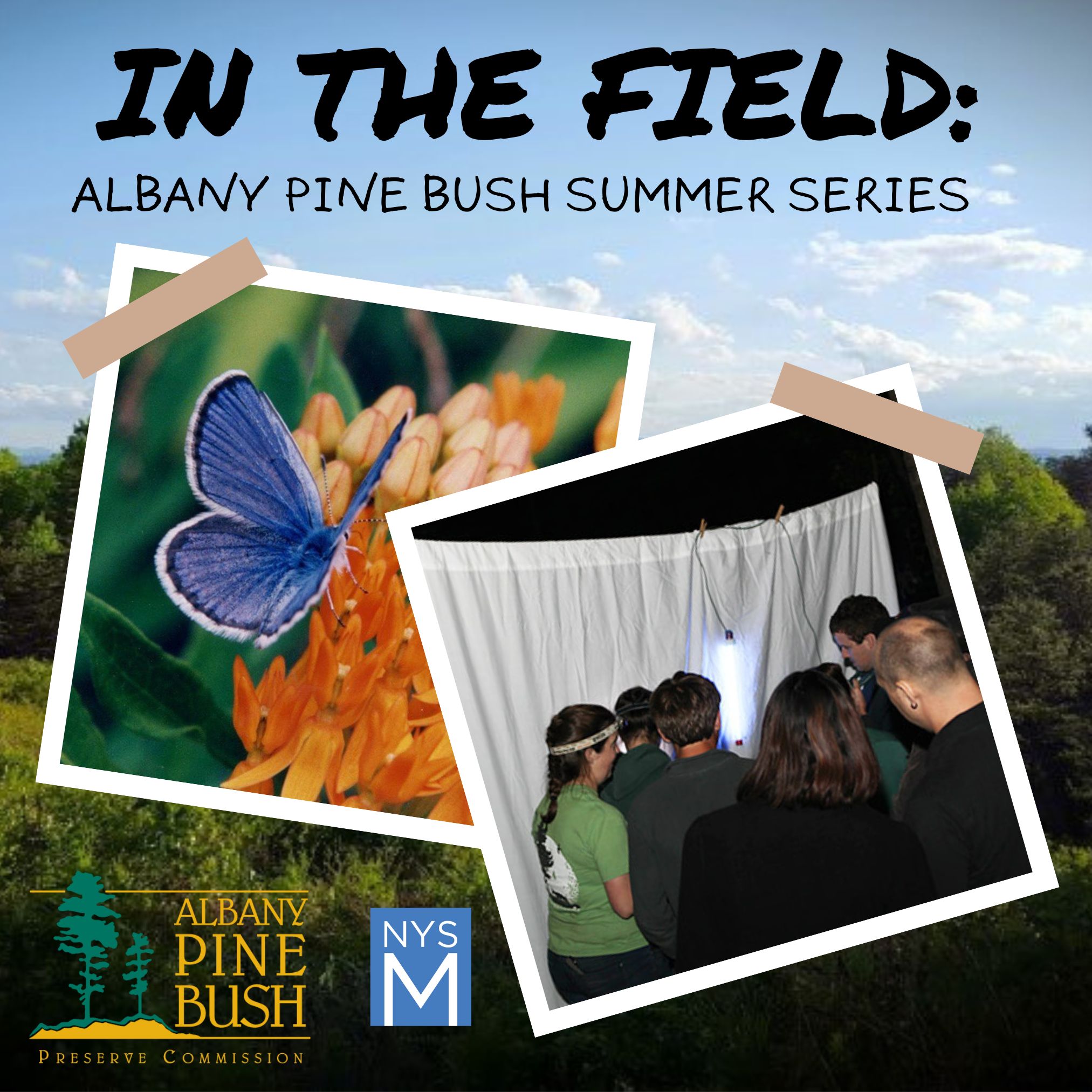In the Field title text over a background landscape of trees under a soft blue sky. Two polaroid photos are "taped" to the scene, one showing a butterfly, the other showing a group looking for insects on a sheet at night