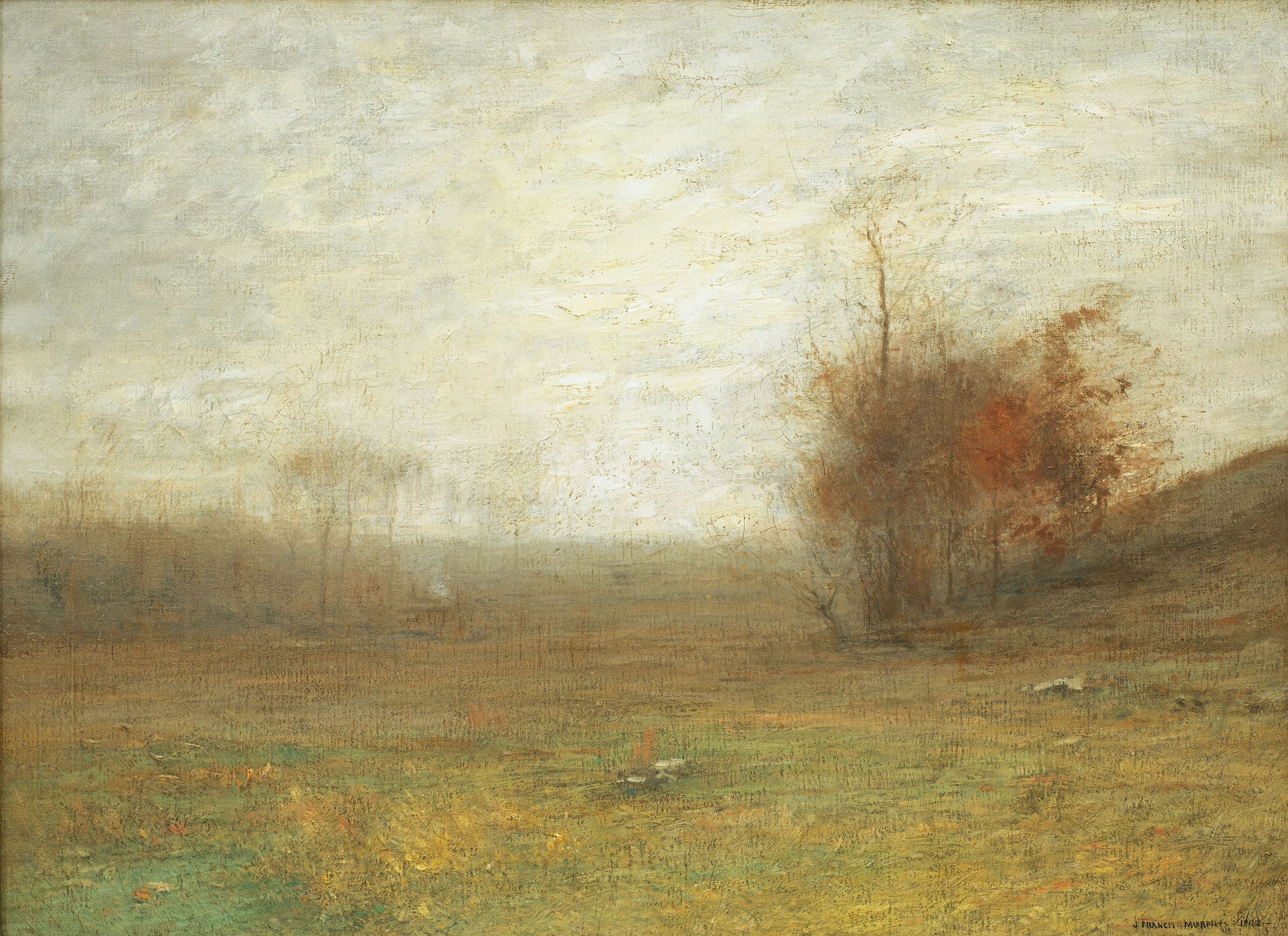 John Francis Murphy, Evening