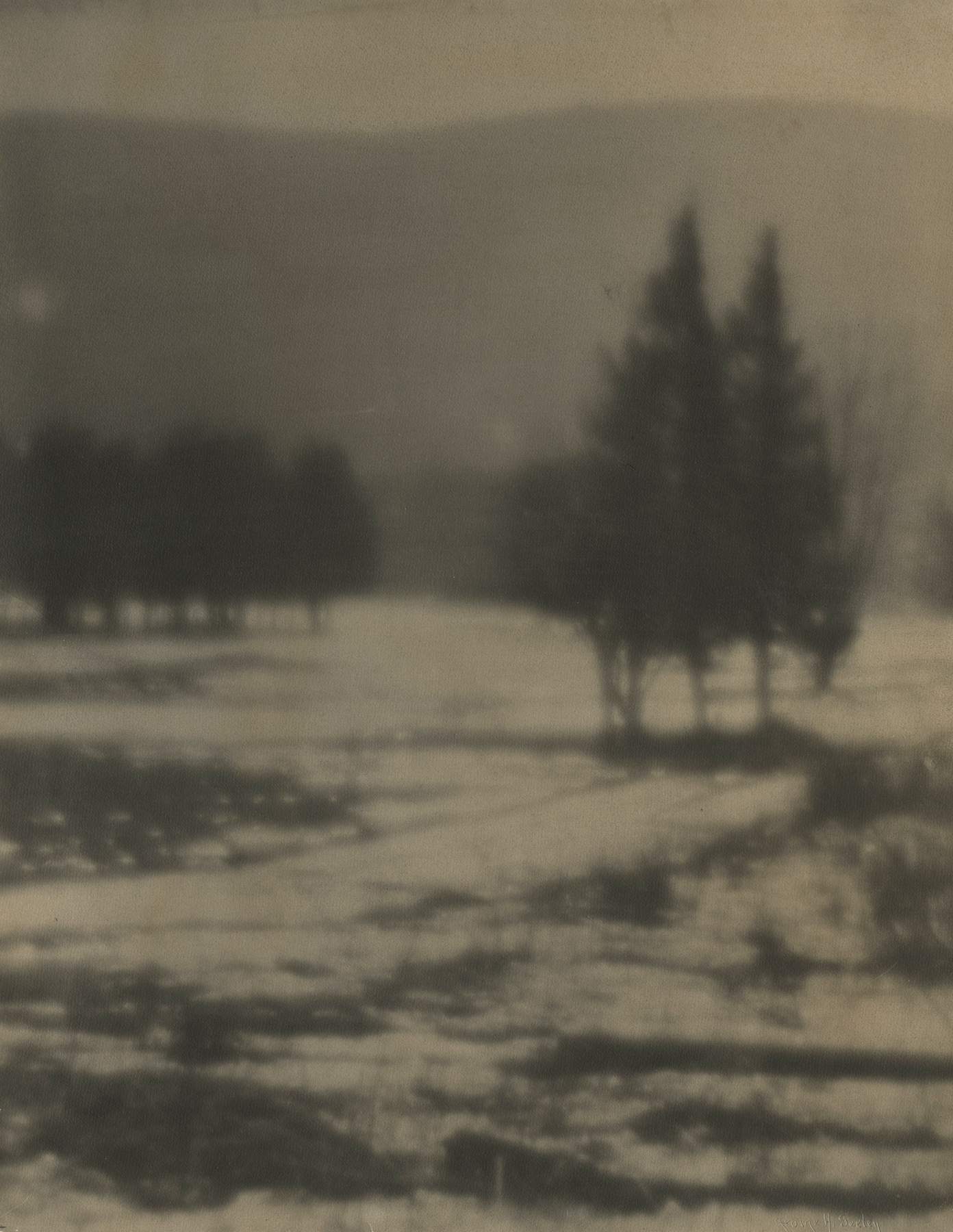 George Seeley, Lanscape with Pines