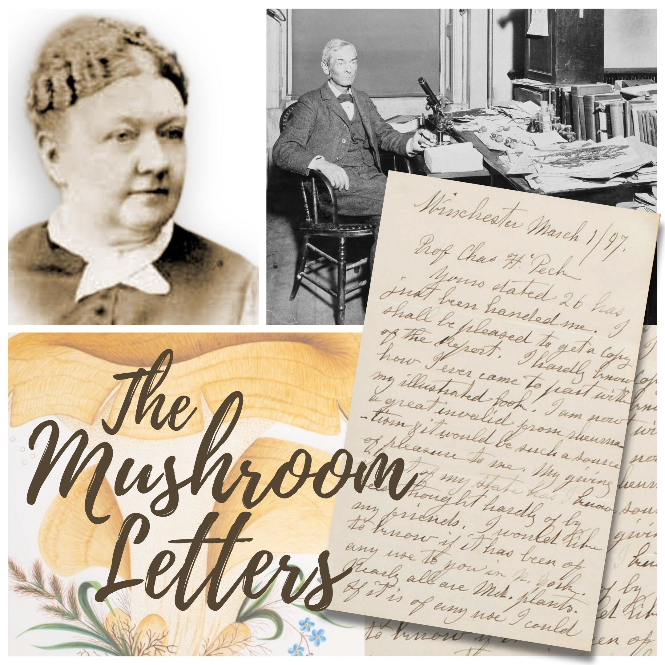Collage of images including Mary Banning, Charles Peck, a Mushroom Watercolor, and one of Mary Banning's letters to Peck