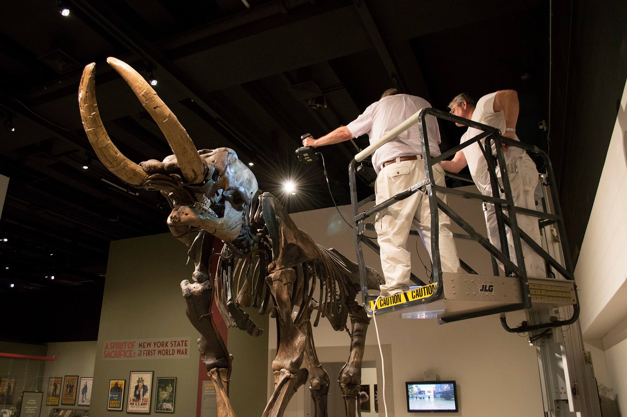 Bernard Means 3-D scan of Cohoes Mastodon
