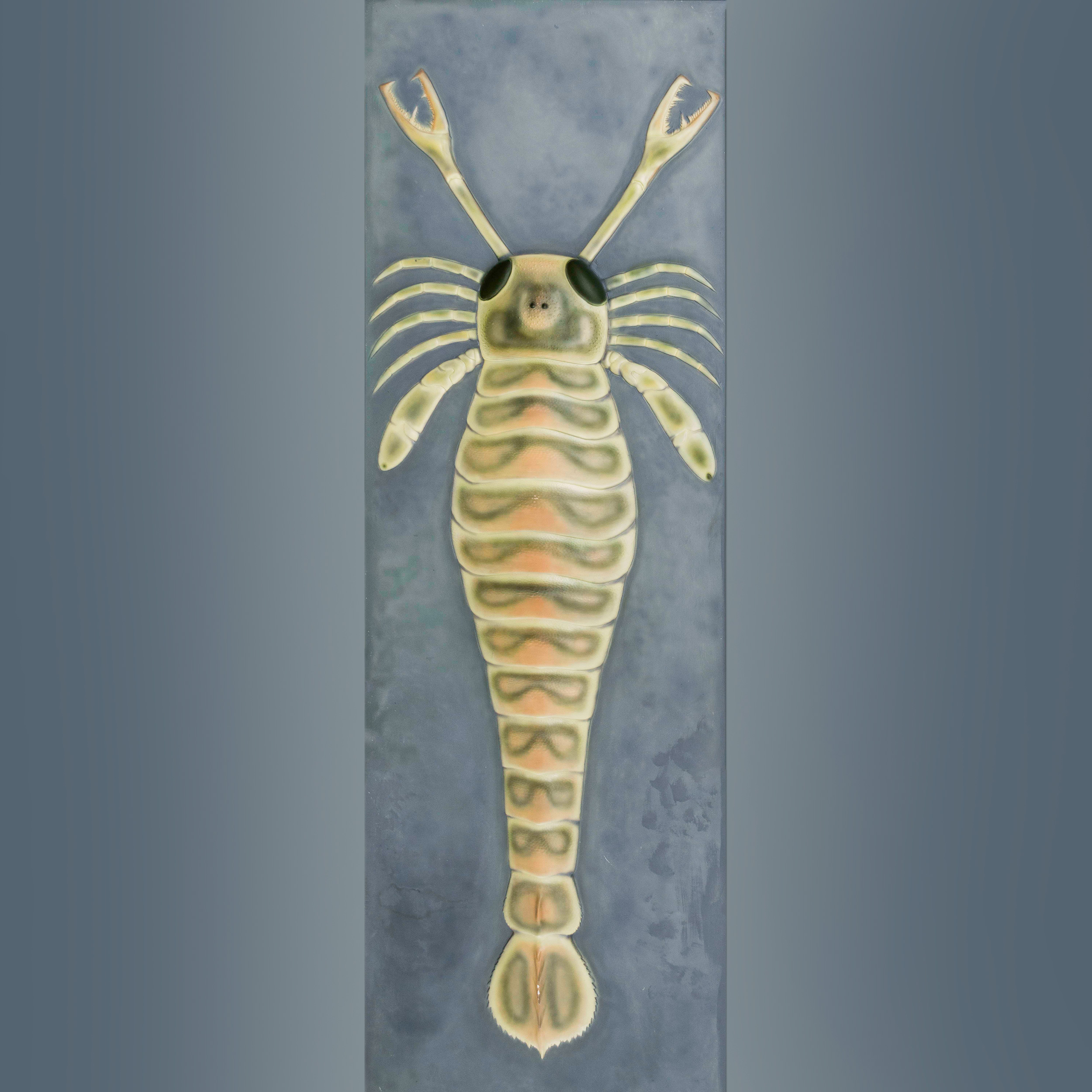Eurypterid
