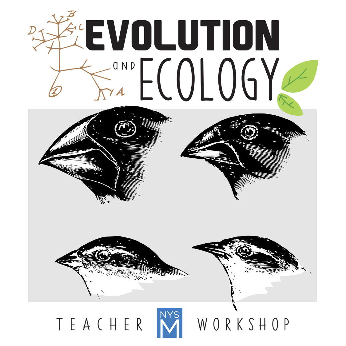 Evolution & Ecology Workshop