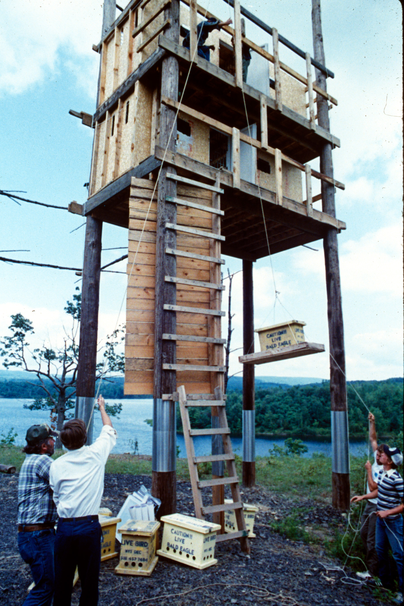 Hack Tower
