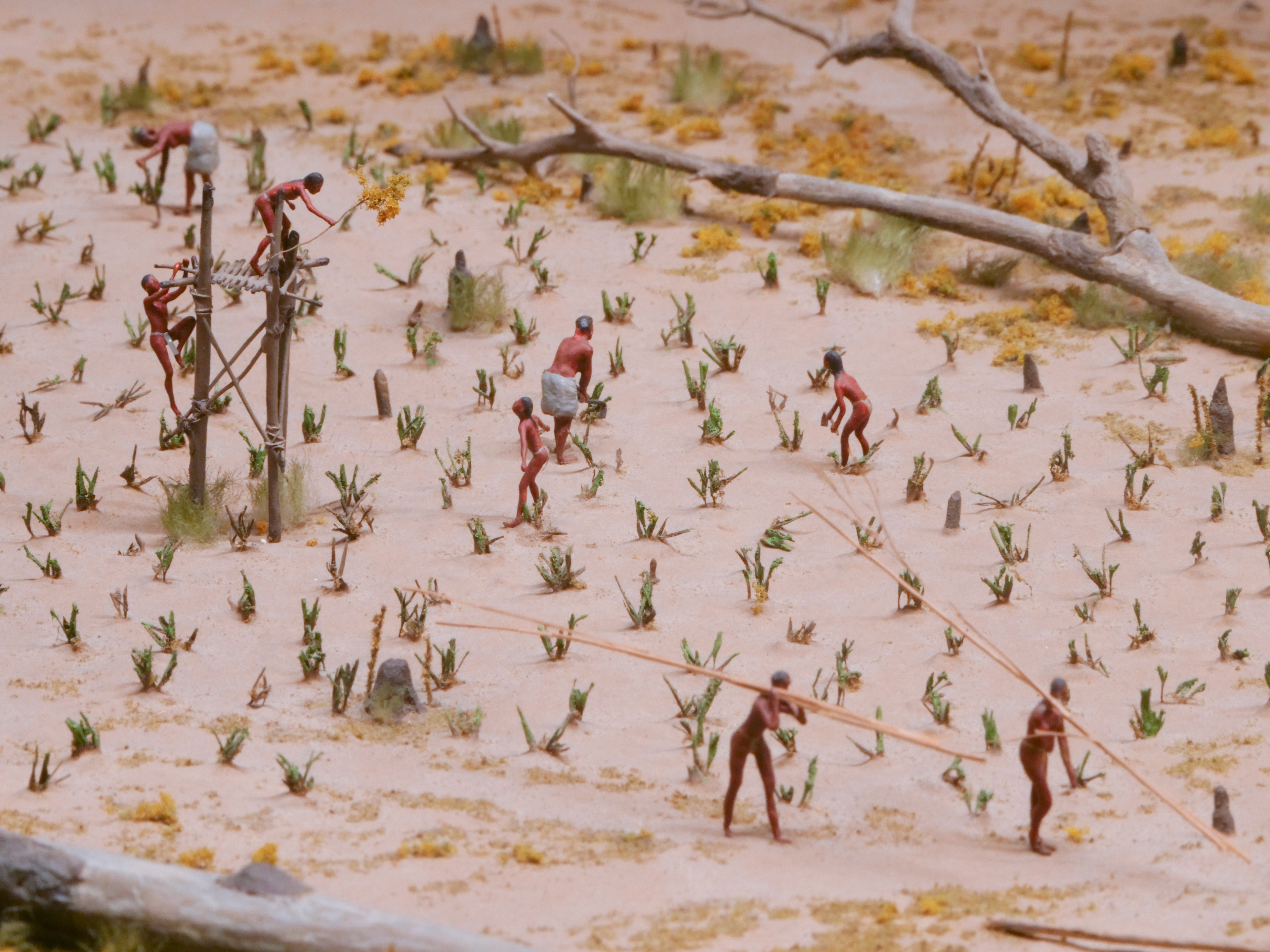 Haudenosaunee Village Model - Farming