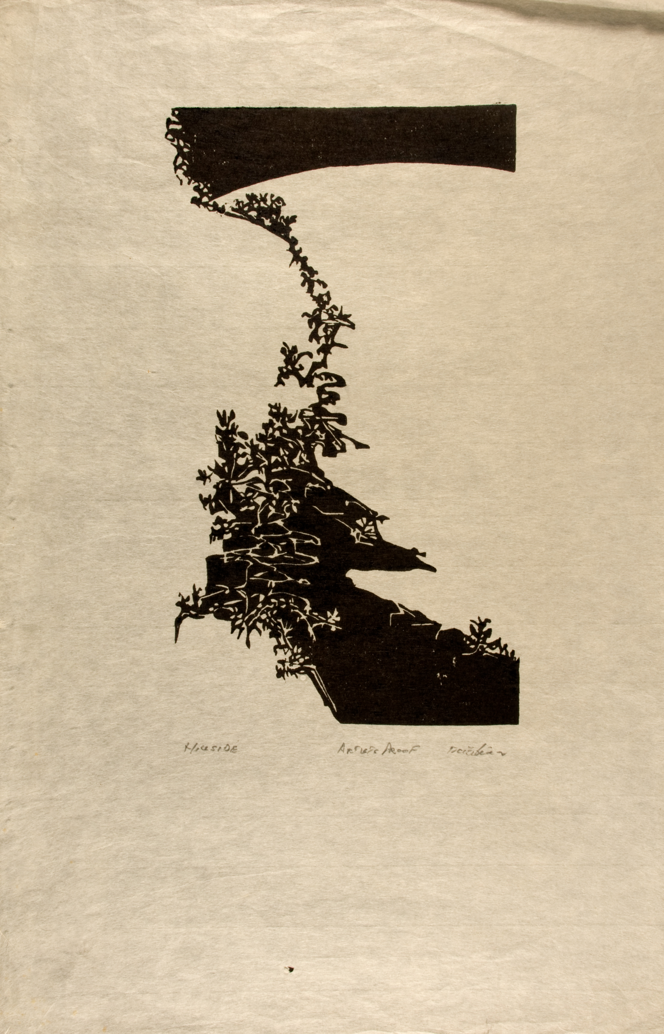 Hillside