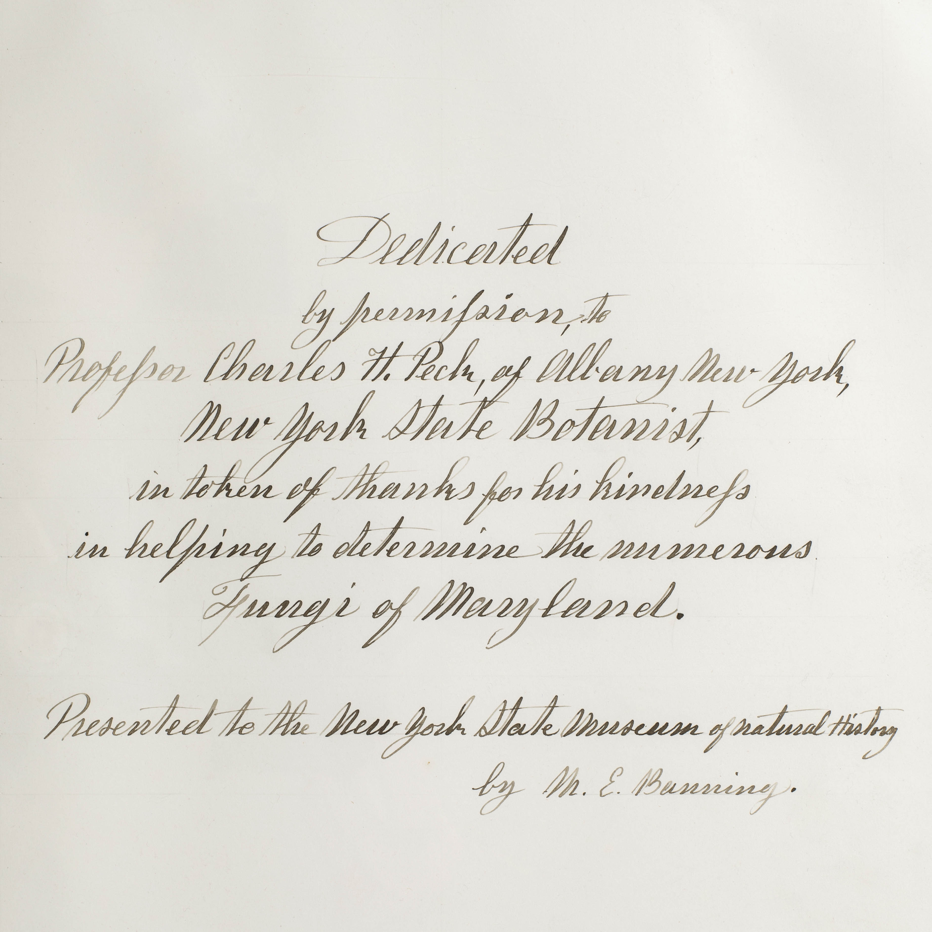 Elegant, handwritten text in cursive on a white background