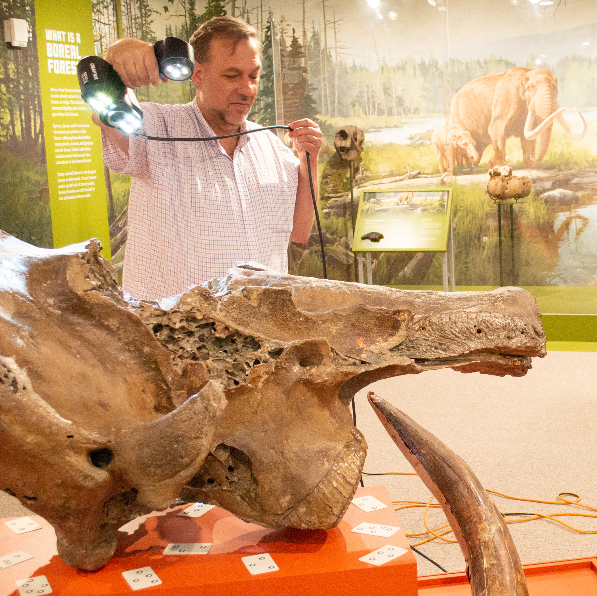 3D scanning