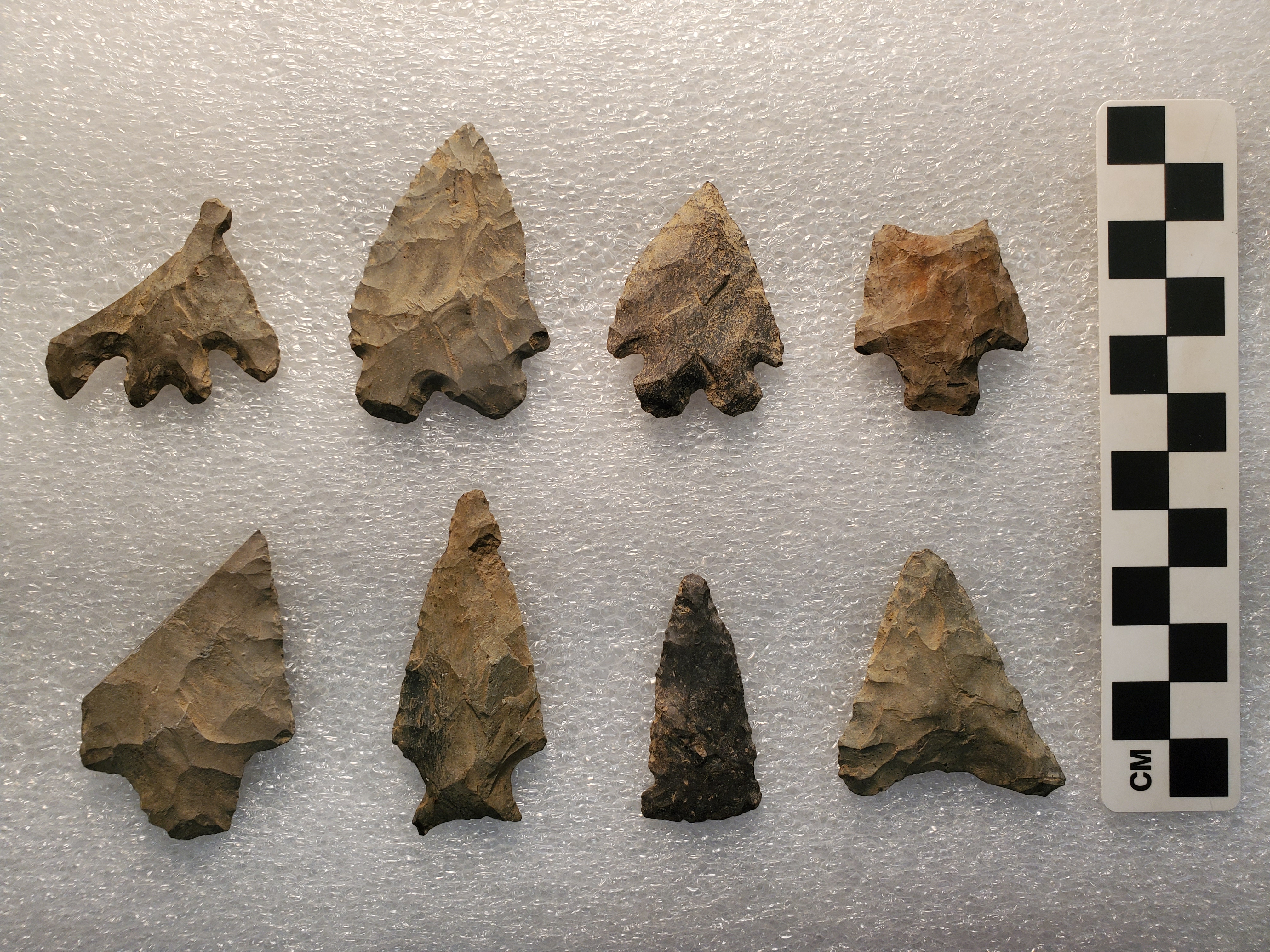 Here are some examples of Native American projectile points in the recently donated McVaugh collection.