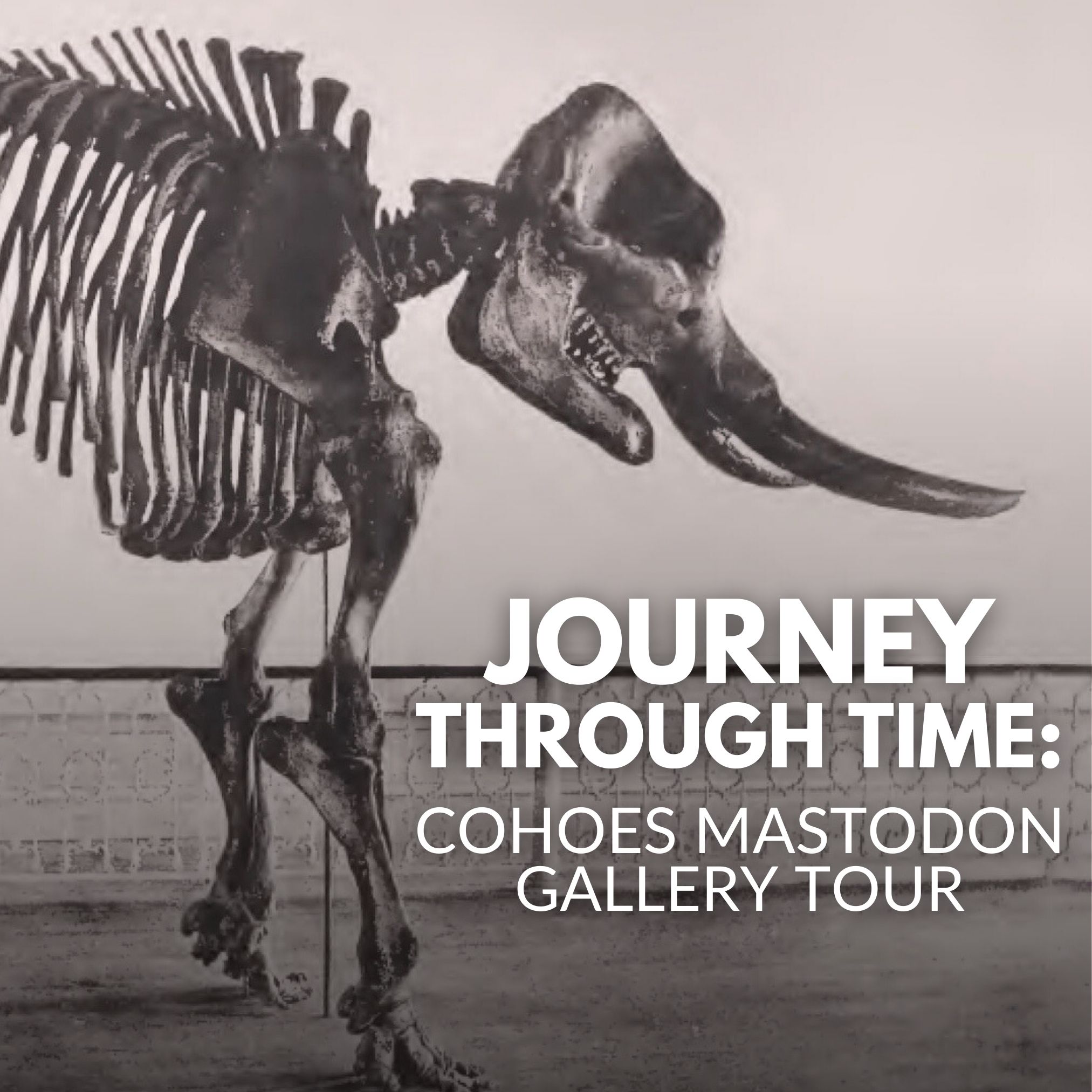 Cohoes Mastodon in Geological & Agricultural Hall