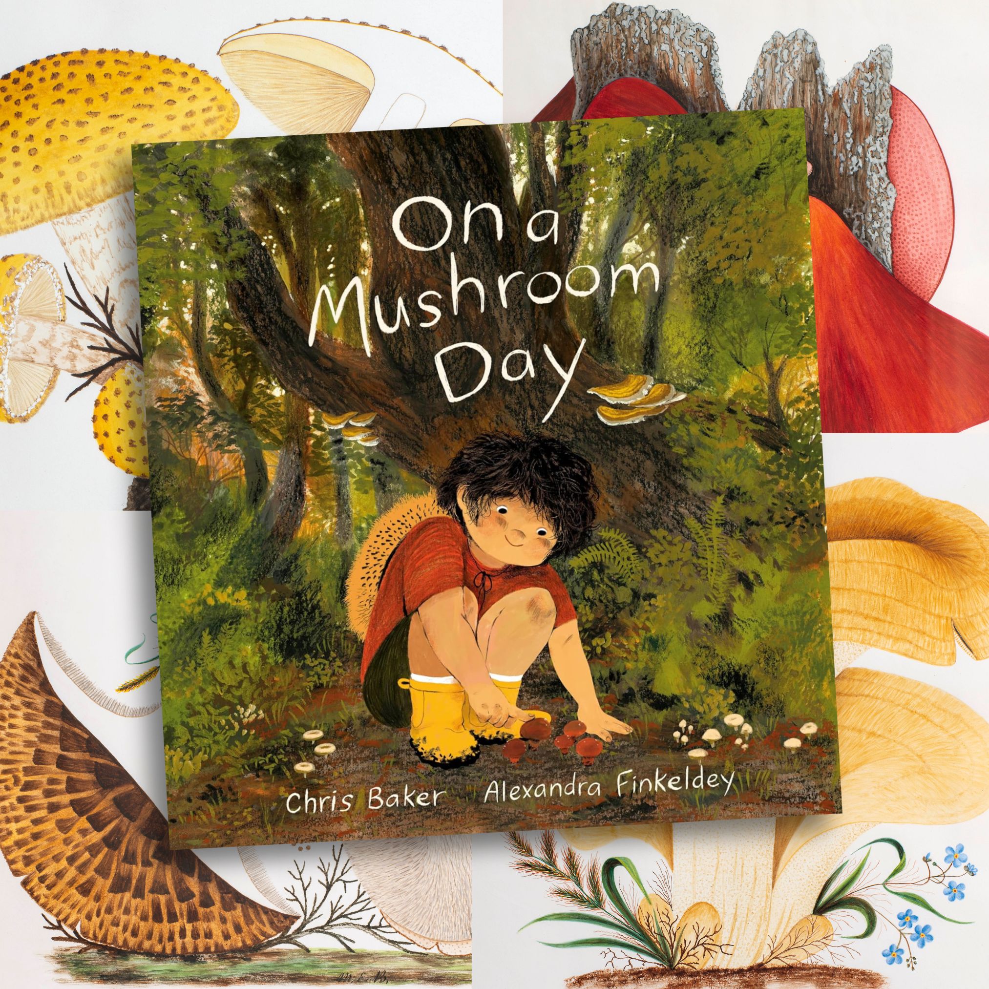 "On a Mushroom Day" Book Cover with a young child observing mushrooms in the wild