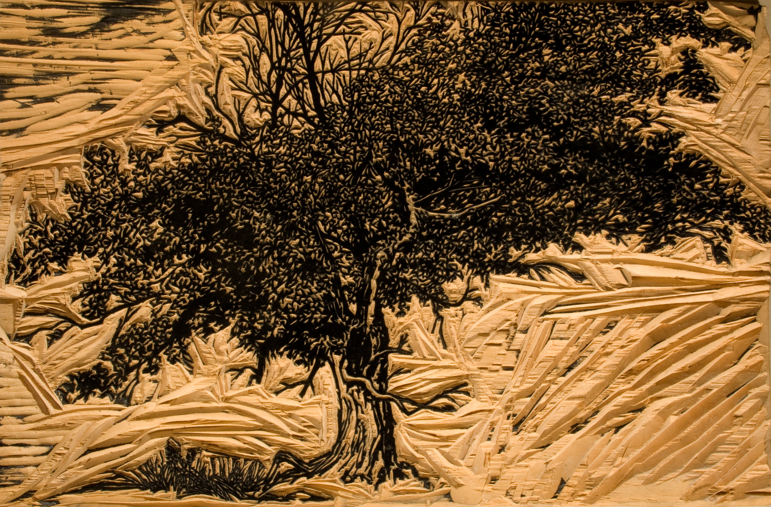 Original Block for Tree