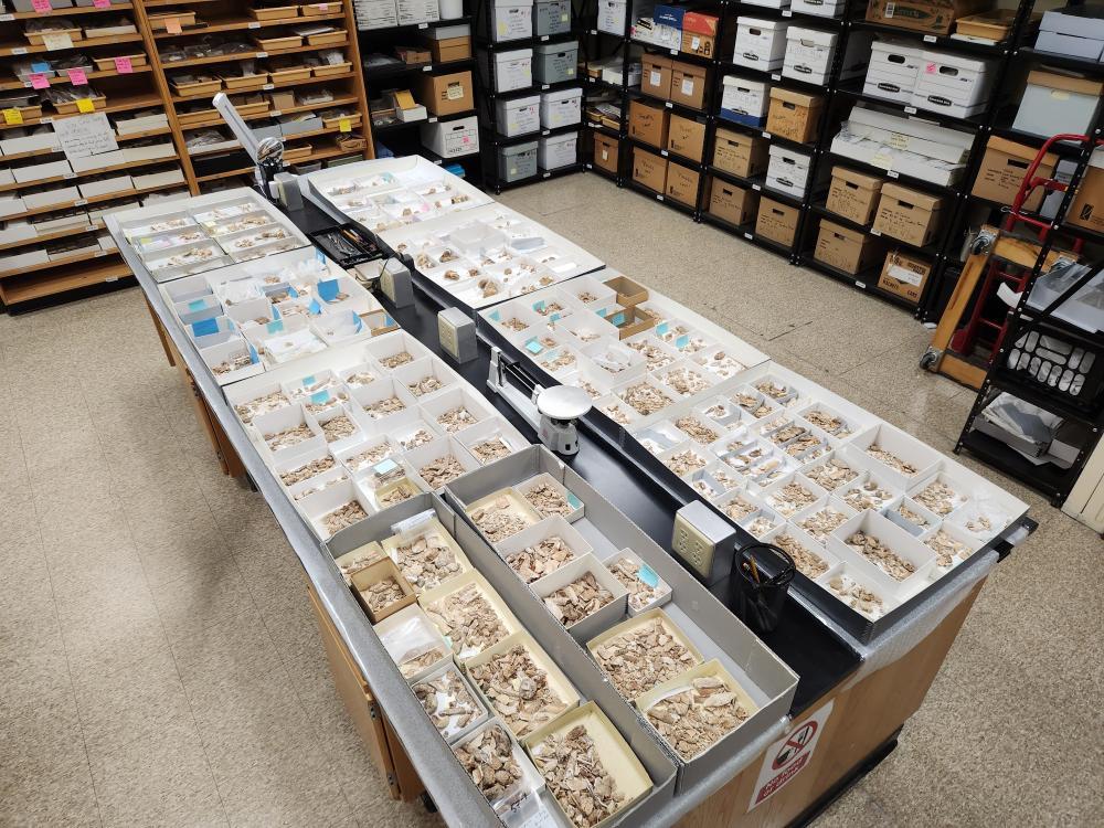 courtland_st_fragments