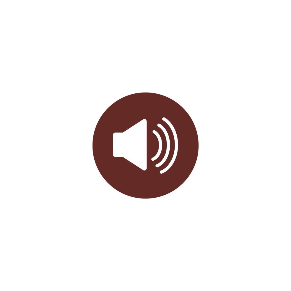 Audio Icon