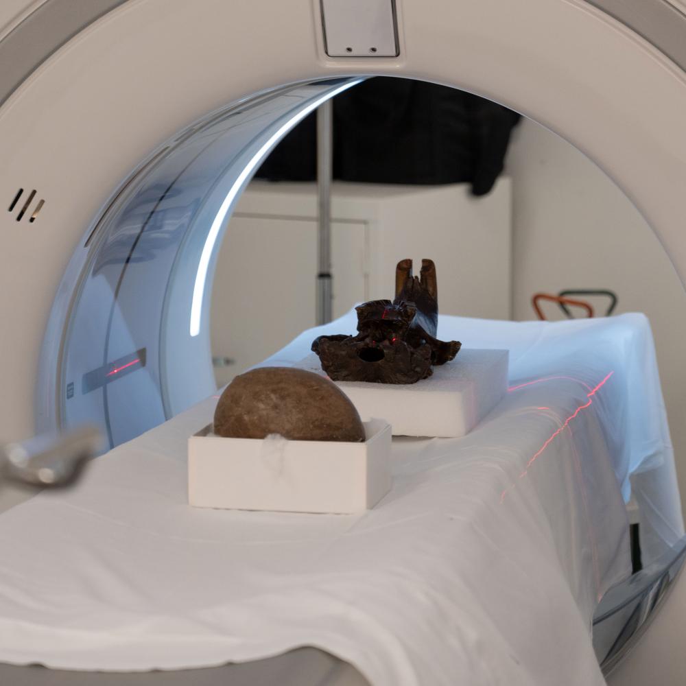 A dinosaur egg and a Giant Beaver Skull sit at the center of a CT scanner