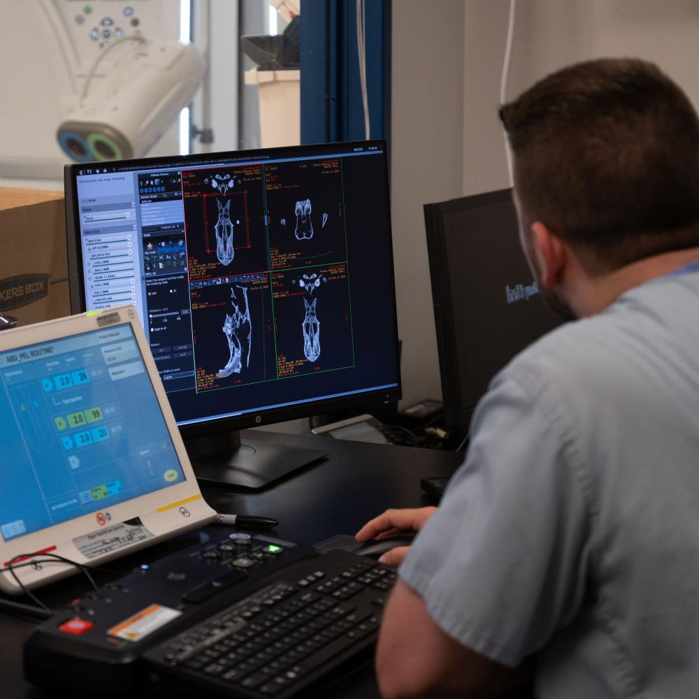Medical Staff observe a computer screen displaying the scan of a beaver skull