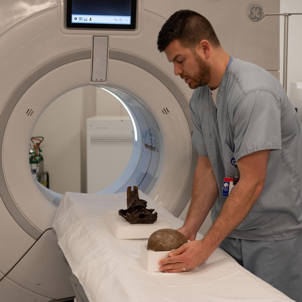Medical staff place dinosaur egg and beaver skull on the CT scan bed