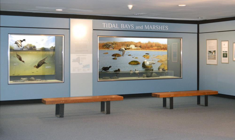 Tidal Bays and Marshes Exhibit 