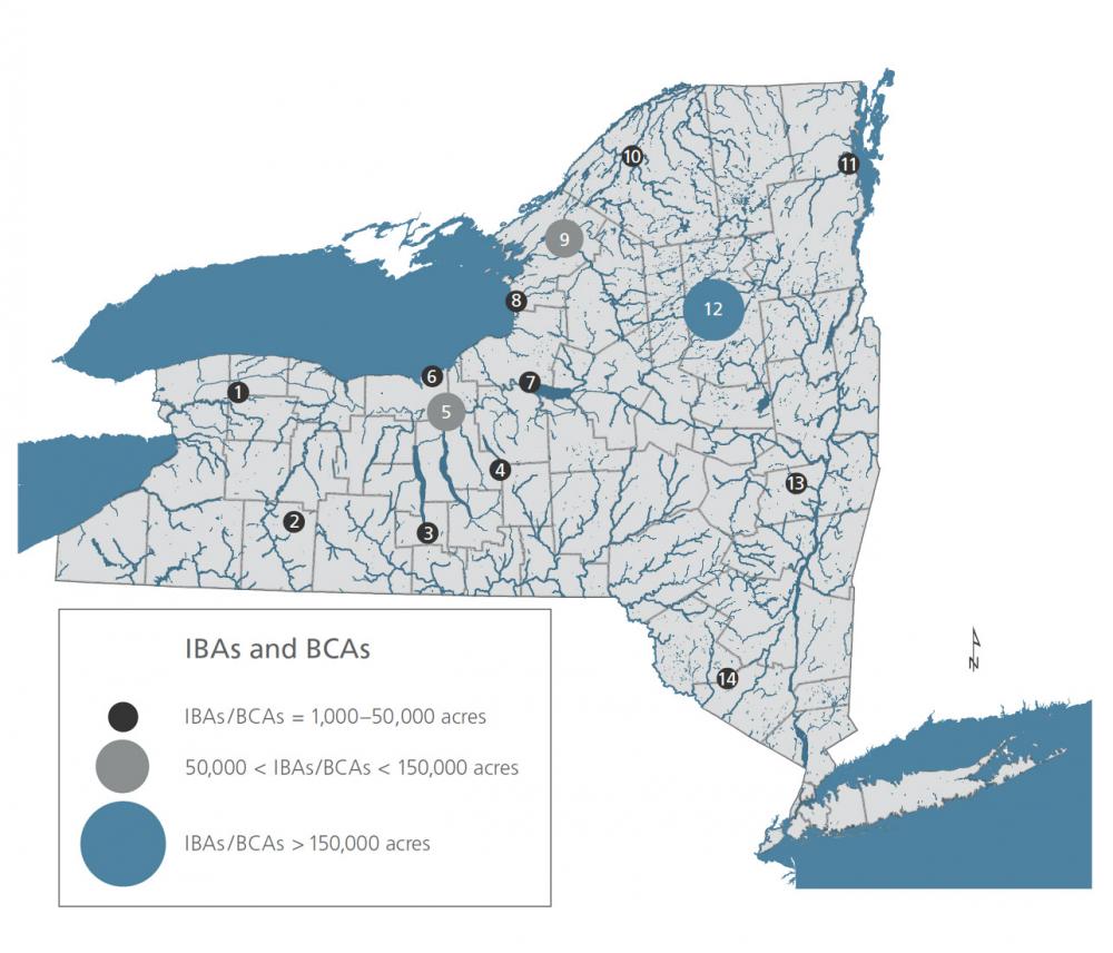 Bird Conservation Areas & Important Bird Areas