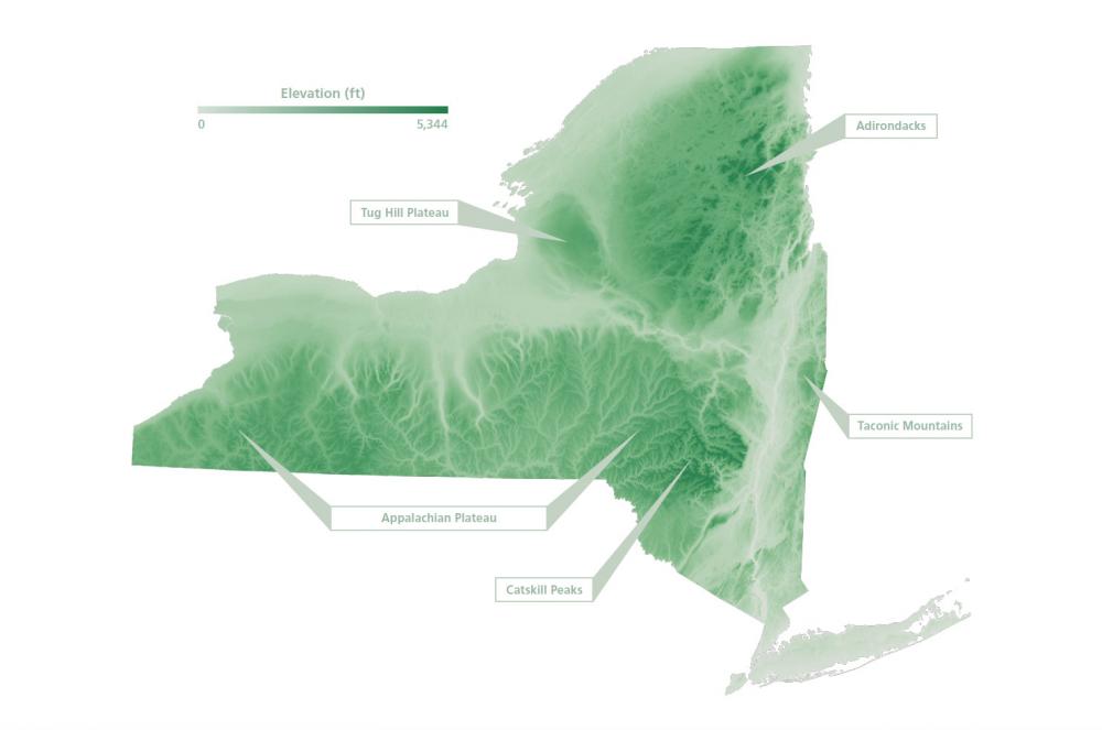 Map of Evergreen Forests in New York