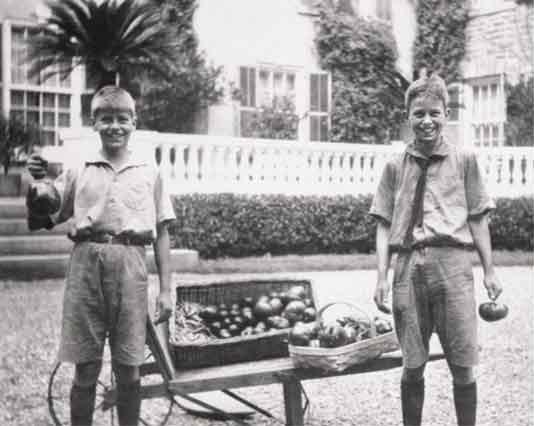 FDR Home Garden
