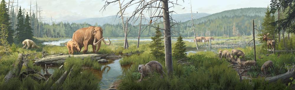 Ice Ages Boreal Forest Mural