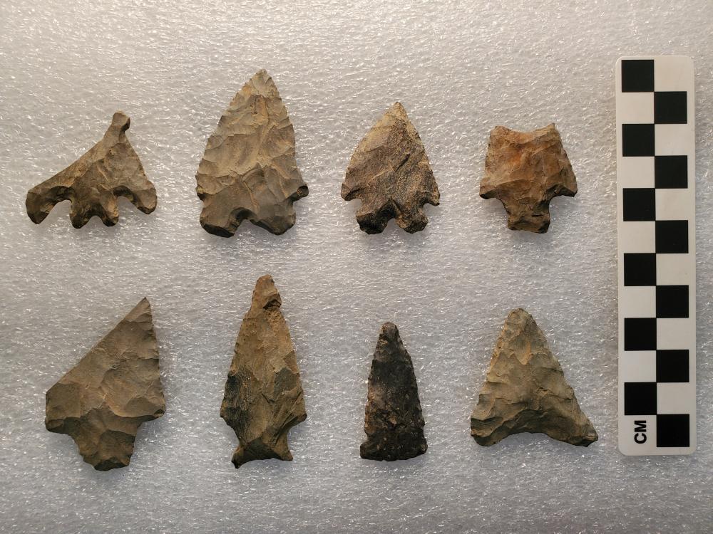 Here are some examples of Native American projectile points in the recently donated McVaugh collection. Here are some examples of Native American projectile points in the recently donated McVaugh collection.