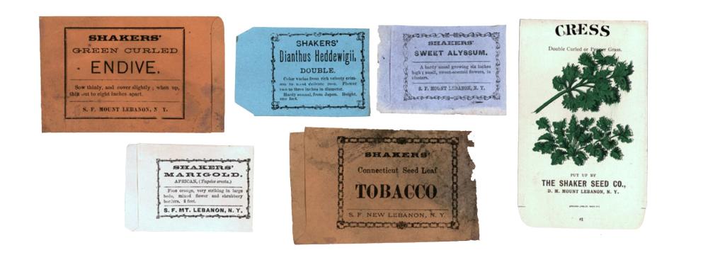 Shaker Seed Co. Labels, Collection New York State Museum