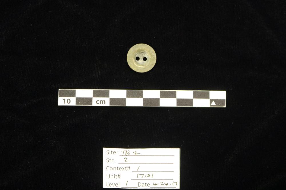 Several shell buttons were also recovered from the Ten Broeck Mansion outer kitchen excavation; this one shown has two holes