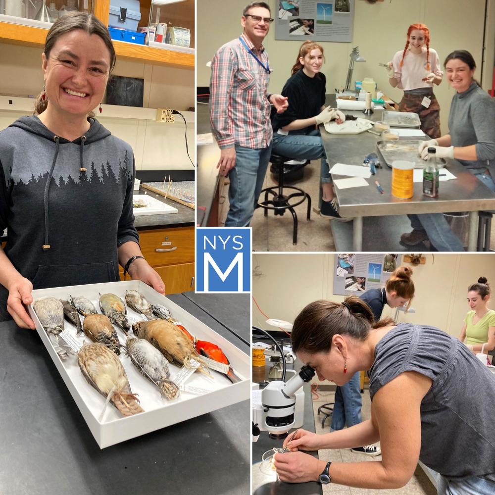 Dr. Taza Schaming assist with research in the NYSM Ornithology Collections
