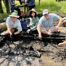 Mastodon NYSM SUNY Orange 4.jpg