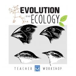 Evolution & Ecology Workshop