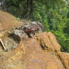 Pyrite-bearing Gneisses 