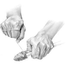 Artist's concept, hafting fluted point as stone tip for hunting weaponry, circa 12,800 years before present.