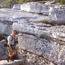 Lower Shawangunk Formation