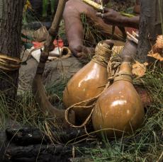 Detail view of `The Three Sisters' diorama in the Mohawk Haudenosaunee Village, New York State Museum