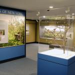 Gallery View of Birds of New York