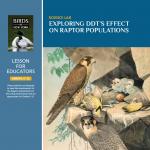 Exploring DDT’s Effect On Raptor Populations - Teacher Guide