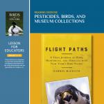 Pesticides, Birds, And Museum Collections - Teacher Guide