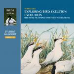 Exploring Bird Skeleton Evolution - Student Guide