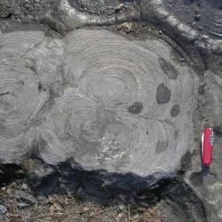 Stromatolites