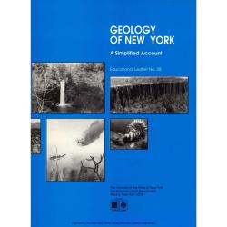 Volume 28 - First Edition