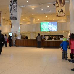 Museum Lobby